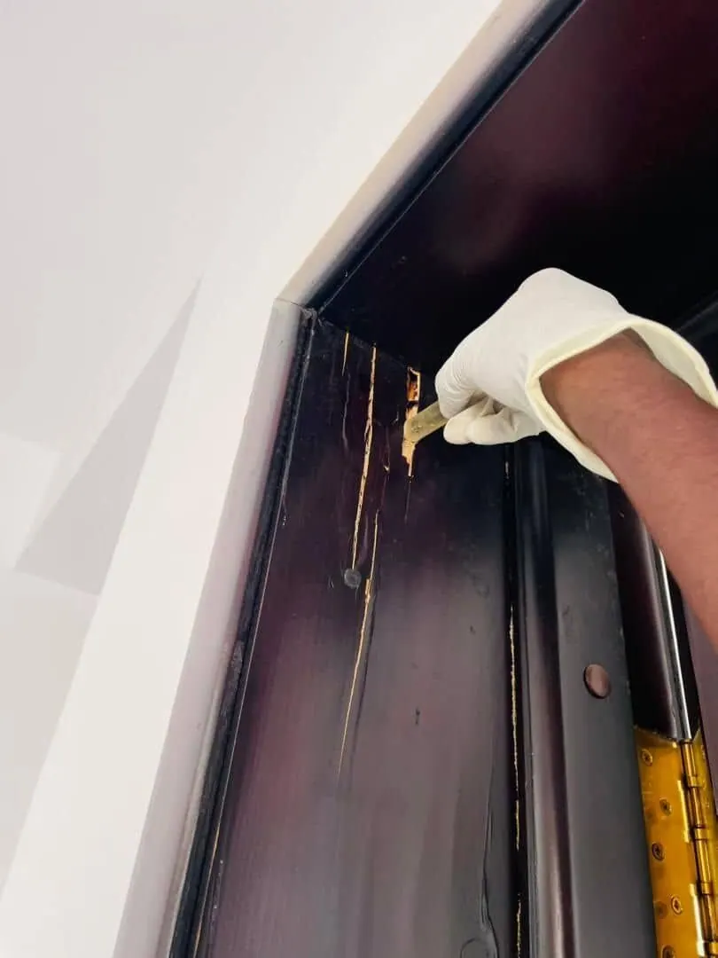 Traitement de termite par injection murale spécialisées