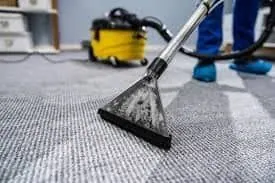 nettoyage moquette (surface entre 41 et 80 m2)